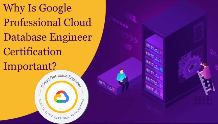 GCP-PCDE, Google Professional Cloud Database Engineer, GCP-PCDE Exam, GCP-PCDE Certification, Google Professional Cloud Database Engineer Exam, Google Professional Cloud Database Engineer Certification, Google Cloud Database Engineer, Google Cloud Database Engineer Exam, Google Cloud Database Engineer Certification, Cloud Database Engineer, Cloud Database Engineer Exam, Cloud Database Engineer Certification, Professional Cloud Database Engineer, Professional Cloud Database Engineer Exam, Professional Cloud Database Engineer Certification, Google Professional Cloud Database Engineer Syllabus, Google Professional Cloud Database Engineer Questions, Google Professional Cloud Database Engineer Practice Exam, Google Professional Cloud Database Engineer Mock Test, Google, Google Exam, Google Certification, Google GCP-PCDE, Google GCP-PCDE Exam, Google GCP-PCDE Certification, Google Cloud Platform - Professional Cloud Database Engineer,  Google Cloud Platform - Professional Cloud Database Engineer Exam,  Google Cloud Platform - Professional Cloud Database Engineer Certification, Google Cloud Platform, Google Cloud Platform Exam, Google Cloud Platform Certification, Google Cloud, Google Cloud Exam, Google Cloud Certification