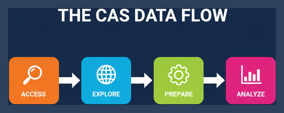 Infographic: the CAS data flow - access, explore, prepare, analyze